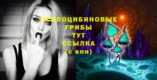 бошки Арсеньев